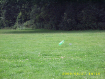 langwacken085
