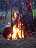 langwacken190