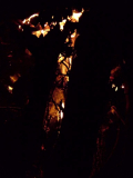 lwmcv4289